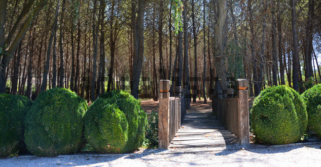 Entrada a la finca